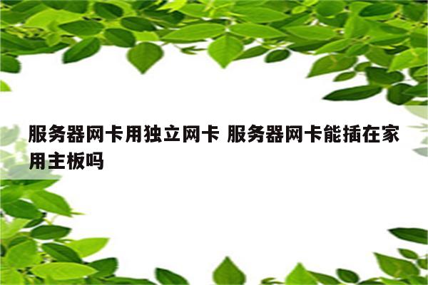 服务器网卡用独立网卡 服务器网卡能插在家用主板吗