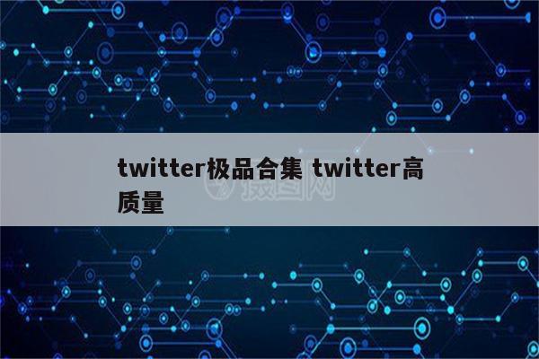 twitter极品合集 twitter高质量