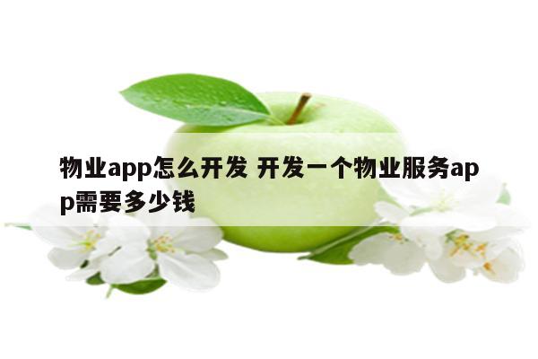 物业app怎么开发 开发一个物业服务app需要多少钱