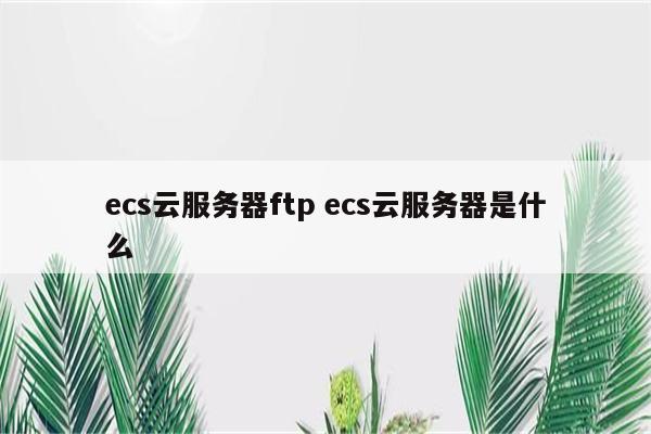 ecs云服务器ftp ecs云服务器是什么