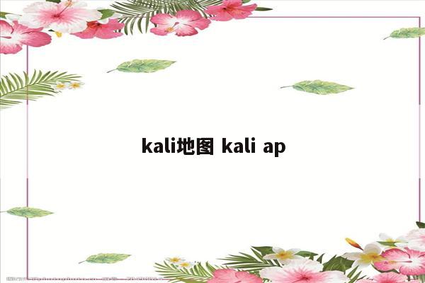 kali地图 kali ap