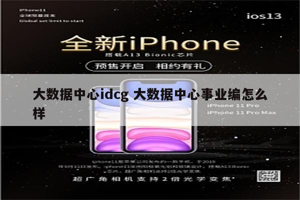 大数据中心idcg 大数据中心事业编怎么样