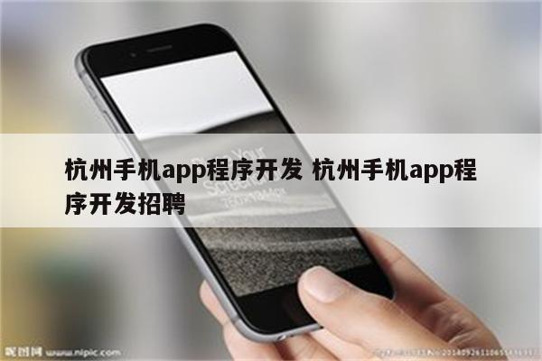 杭州手机app程序开发 杭州手机app程序开发招聘