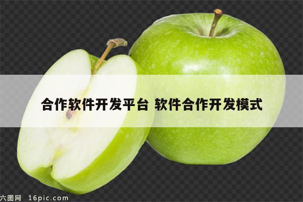 合作软件开发平台 软件合作开发模式