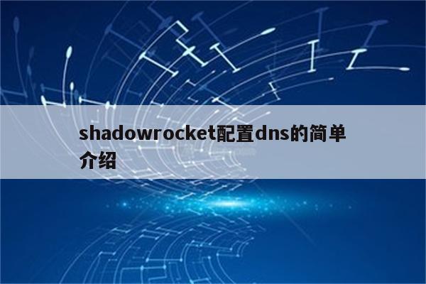 shadowrocket配置dns的简单介绍