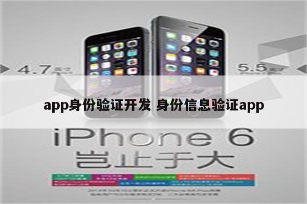 app身份验证开发 身份信息验证app