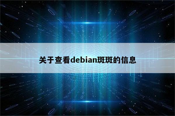 关于查看debian斑斑的信息