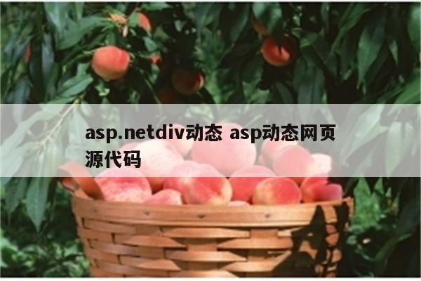 asp.netdiv动态 asp动态网页源代码