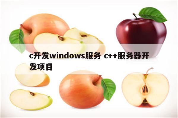 c开发windows服务 c++服务器开发项目