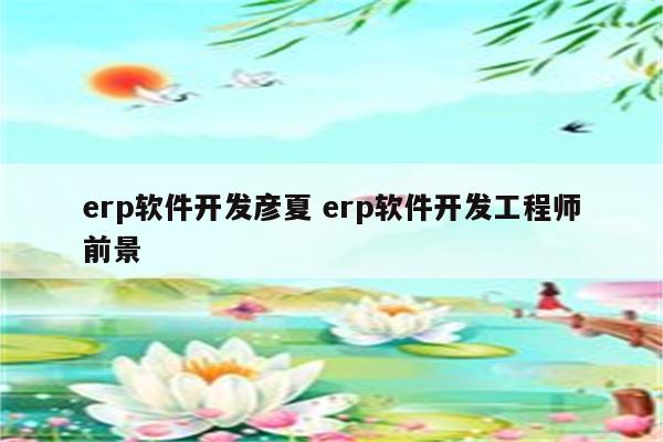 erp软件开发彦夏 erp软件开发工程师前景