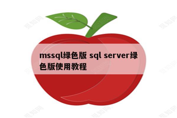 mssql绿色版 sql server绿色版使用教程