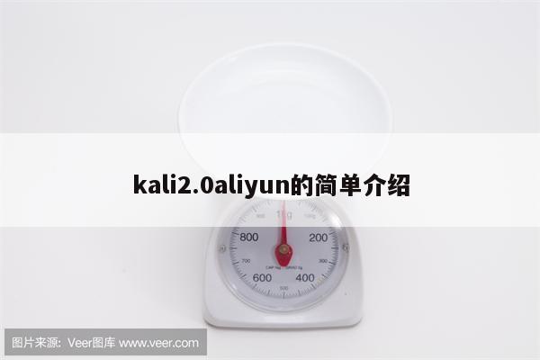 kali2.0aliyun的简单介绍