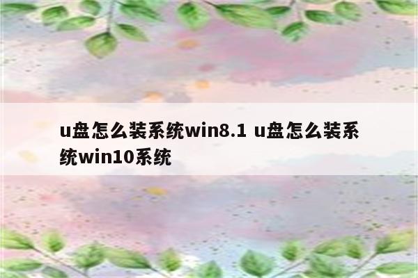 u盘怎么装系统win8.1 u盘怎么装系统win10系统