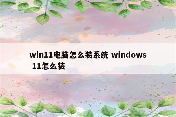 win11电脑怎么装系统 windows 11怎么装