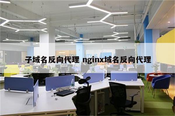 子域名反向代理 nginx域名反向代理