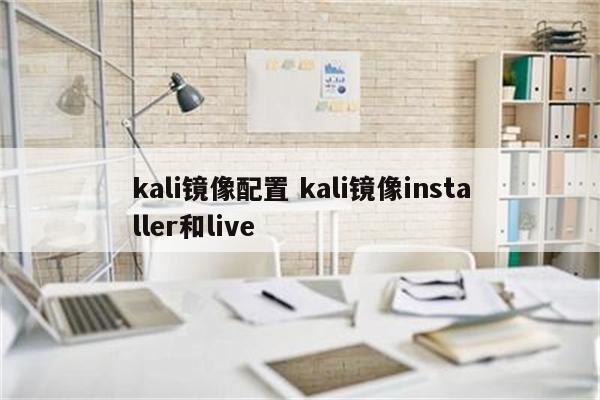 kali镜像配置 kali镜像installer和live