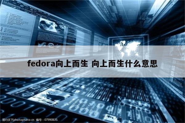 fedora向上而生 向上而生什么意思