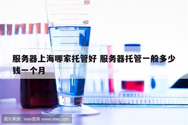 服务器上海哪家托管好 服务器托管一般多少钱一个月