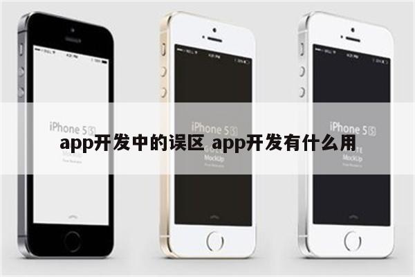 app开发中的误区 app开发有什么用