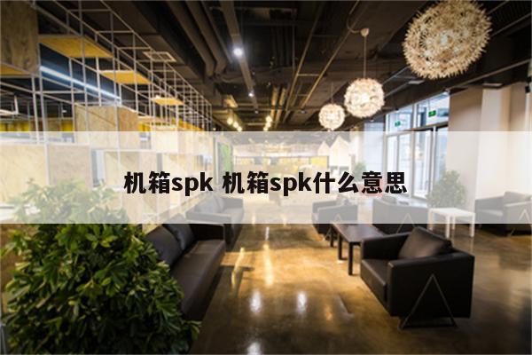 机箱spk 机箱spk什么意思