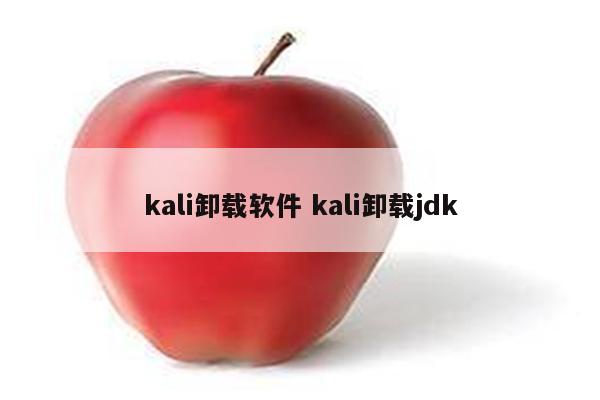 kali卸载软件 kali卸载jdk