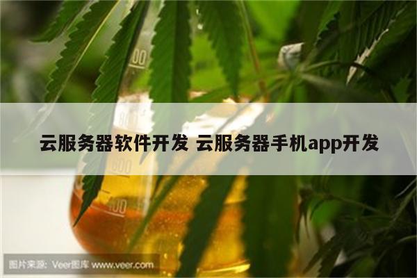 云服务器软件开发 云服务器手机app开发