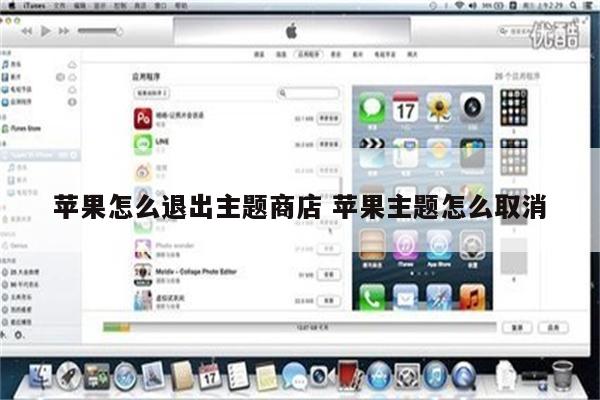 苹果怎么退出主题商店 苹果主题怎么取消