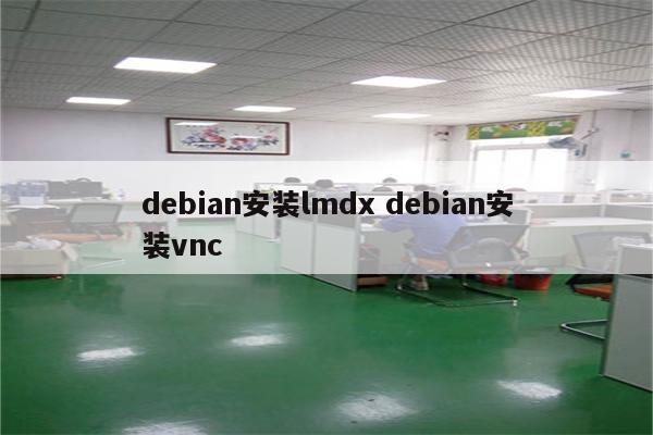 debian安装lmdx debian安装vnc