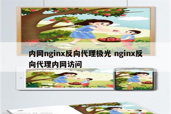 内网nginx反向代理极光 nginx反向代理内网访问