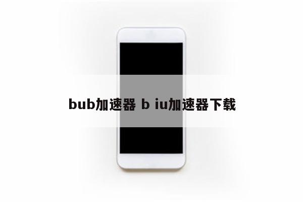 bub加速器 b iu加速器下载