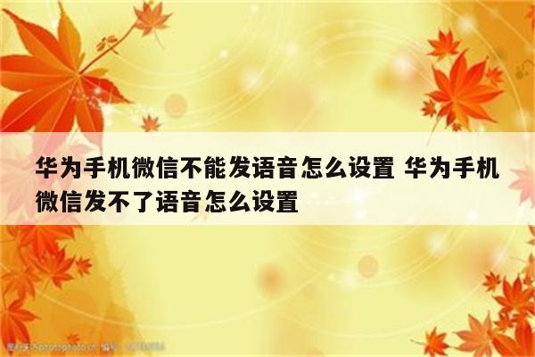 华为手机微信不能发语音怎么设置 华为手机微信发不了语音怎么设置