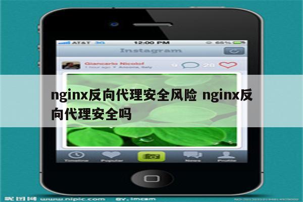 nginx反向代理安全风险 nginx反向代理安全吗