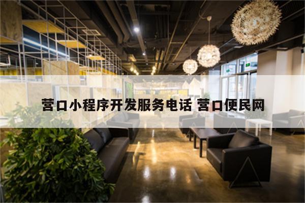 营口小程序开发服务电话 营口便民网