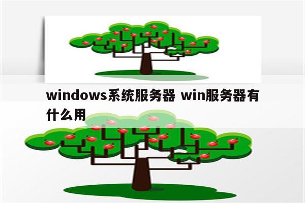 windows系统服务器 win服务器有什么用