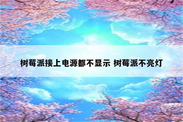 树莓派接上电源都不显示 树莓派不亮灯