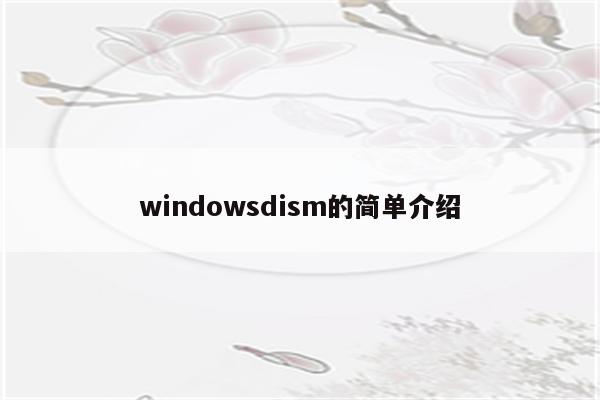 windowsdism的简单介绍