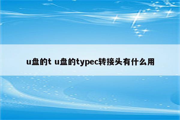 u盘的t u盘的typec转接头有什么用