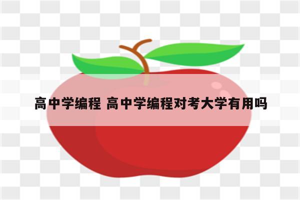 高中学编程 高中学编程对考大学有用吗