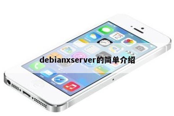 debianxserver的简单介绍