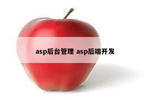 asp后台管理 asp后端开发