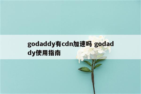 godaddy有cdn加速吗 godaddy使用指南