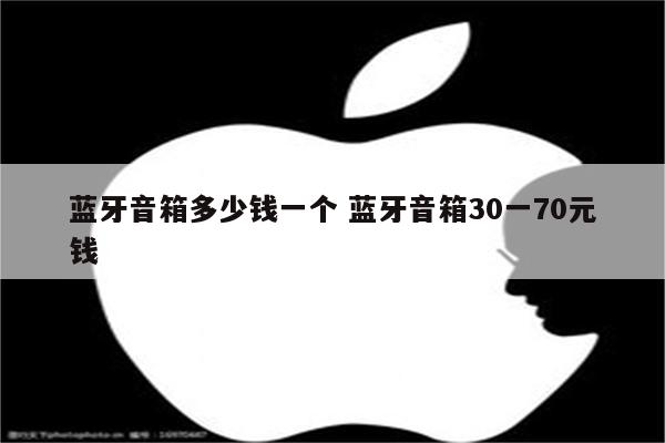 蓝牙音箱多少钱一个 蓝牙音箱30一70元钱