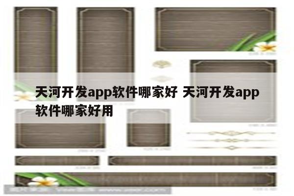 天河开发app软件哪家好 天河开发app软件哪家好用