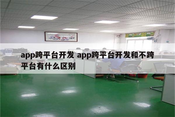 app跨平台开发 app跨平台开发和不跨平台有什么区别