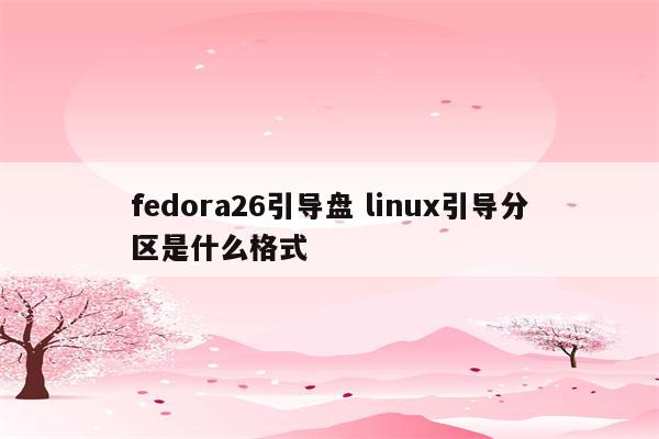fedora26引导盘 linux引导分区是什么格式
