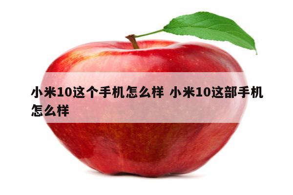 小米10这个手机怎么样 小米10这部手机怎么样