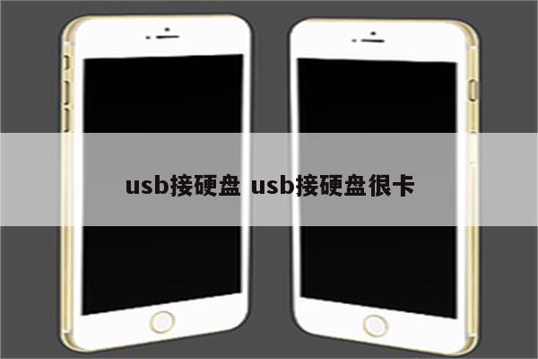 usb接硬盘 usb接硬盘很卡