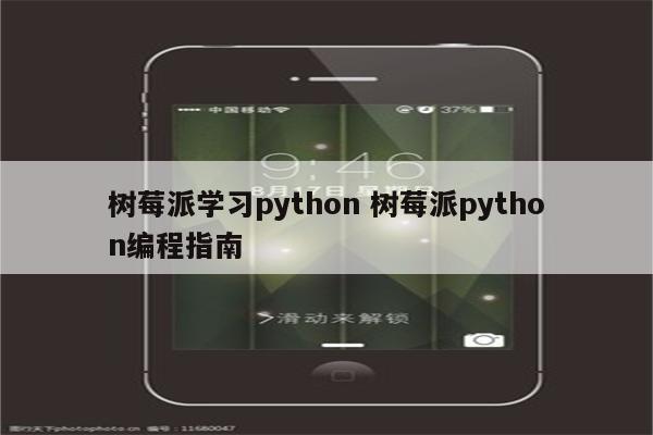 树莓派学习python 树莓派python编程指南