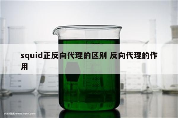 squid正反向代理的区别 反向代理的作用