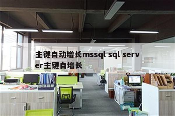 主键自动增长mssql sql server主键自增长